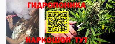 СК Краснознаменск