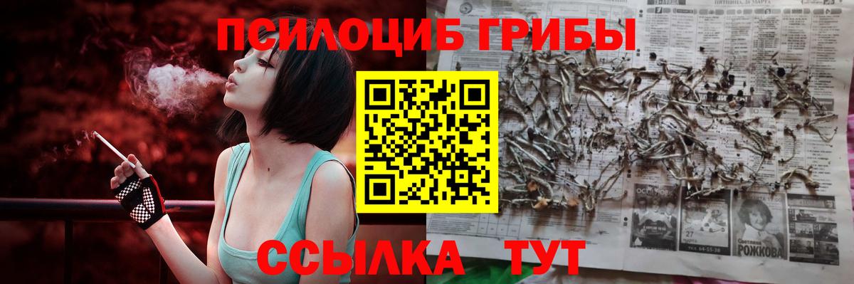 где можно купить наркотик  Вход с VPN  Ишим  Галлюциногенные грибы мухоморы  Псилоцибиновые грибы Psilocybine cubensis 